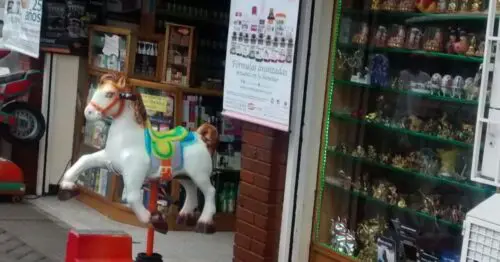 TIENDA NATURISTA SELUNE BOGOTÁ TIENDA NATURISTA SELUNE BOGOTÁ